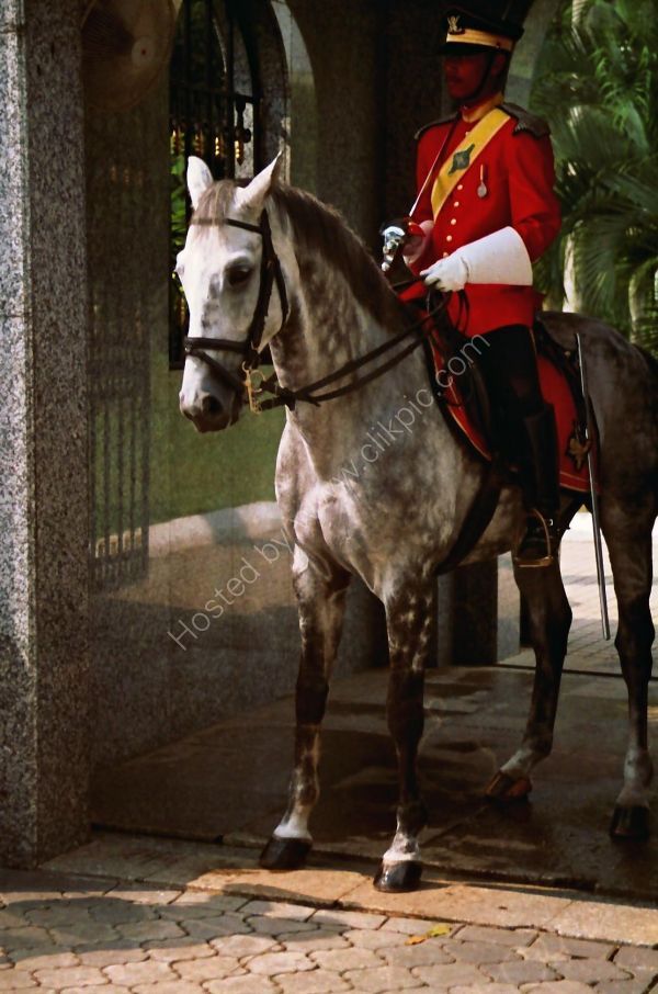 Guard at Presidents Palace, Kuala Lumpur